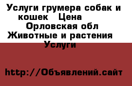 Услуги грумера собак и кошек › Цена ­ 700 - Орловская обл. Животные и растения » Услуги   